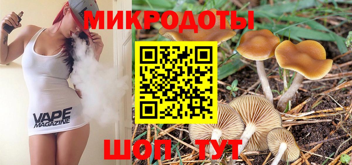 Волхов  Псилоцибиновые грибы мицелий  Вход с VPN 